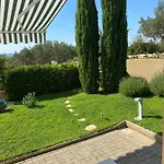 Mimoza *