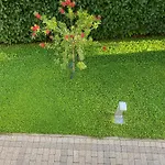 아파트 Mimoza