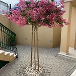 Mimoza דירה *