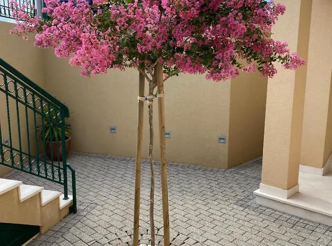 Mimoza Διαμέρισμα *